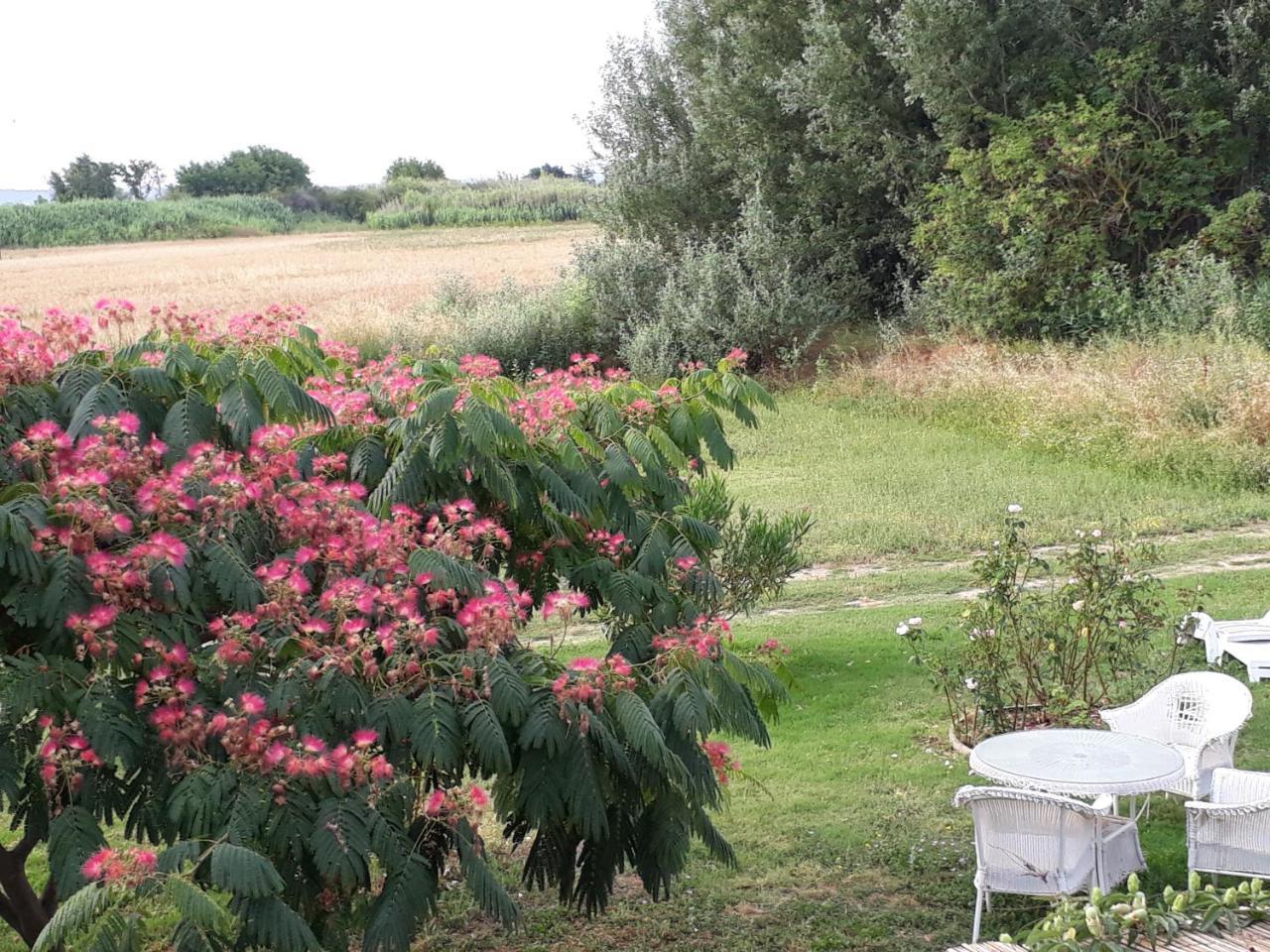 Aux Roses De L'Etang Hotell Capestang Eksteriør bilde