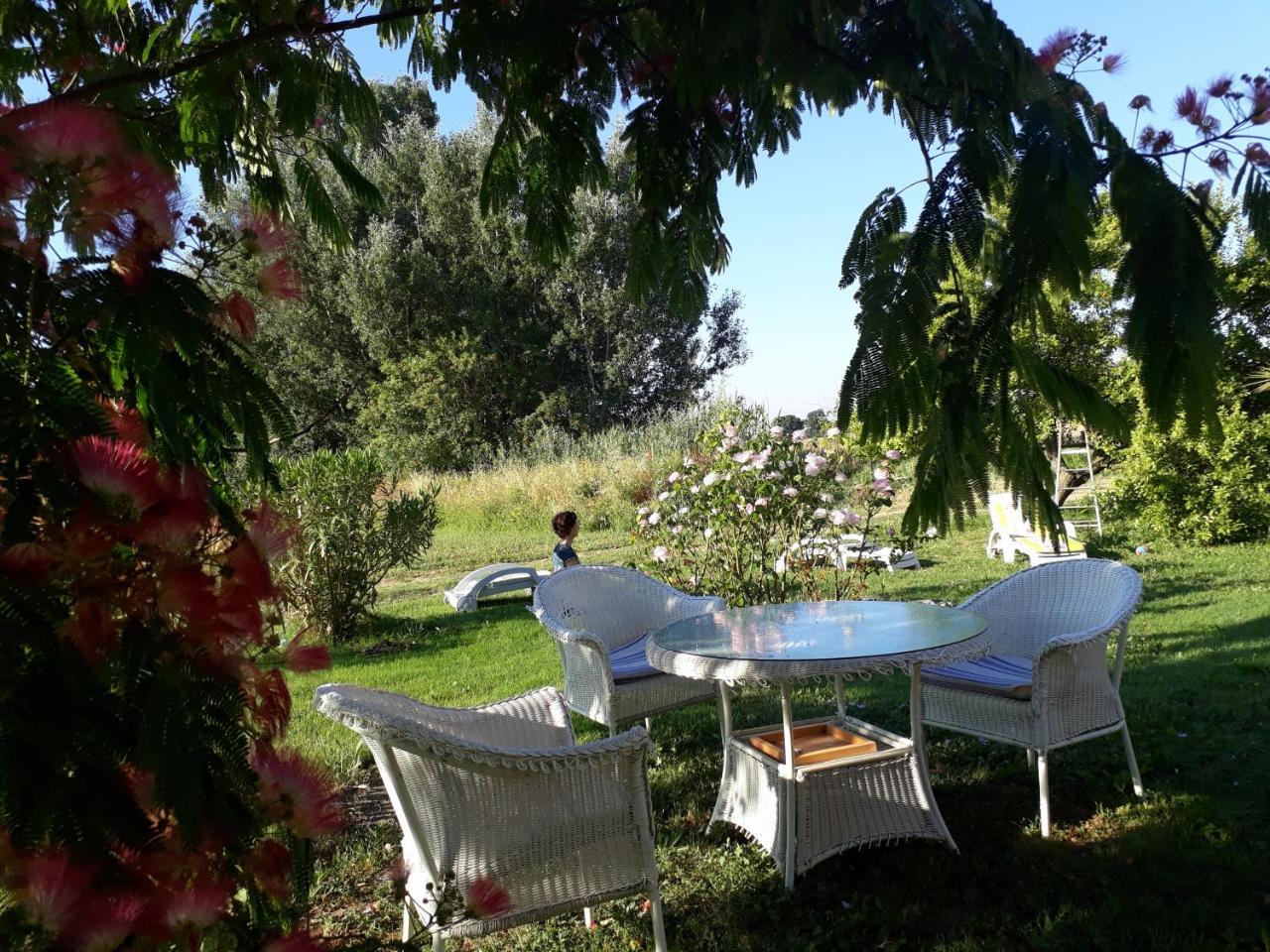 Aux Roses De L'Etang Hotell Capestang Eksteriør bilde