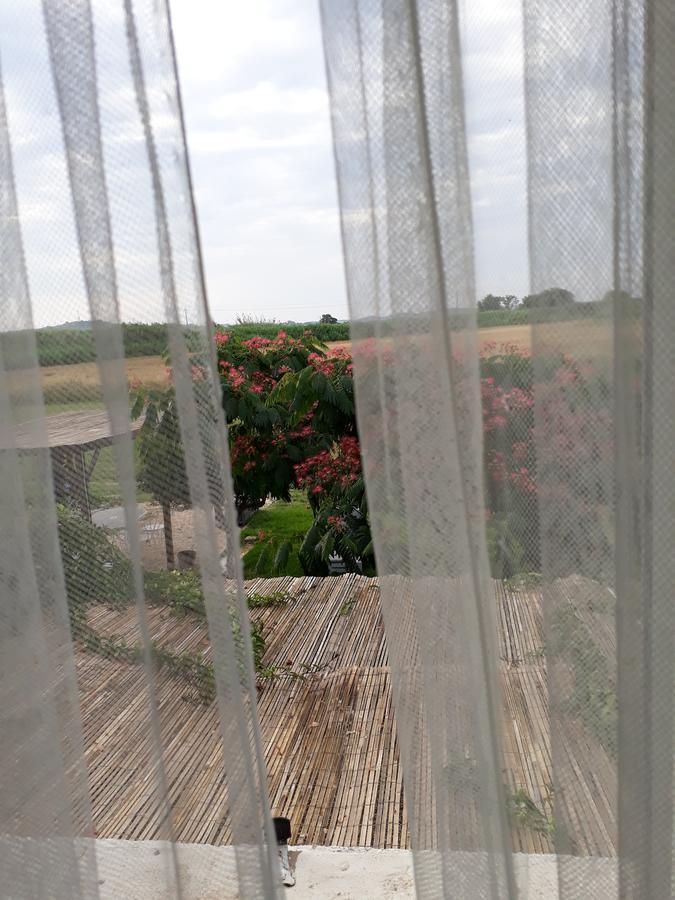 Aux Roses De L'Etang Hotell Capestang Eksteriør bilde